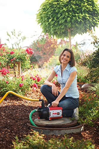al-ko-jet-3000-classic-pompe-de-jardin-650-w-3100-l-h image 5