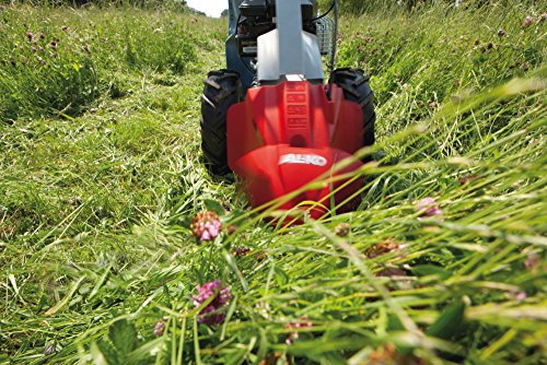 al-ko-bm-870-iii-motofaucheuse-87-cm-briggs-stratton-1-9-kw image 8