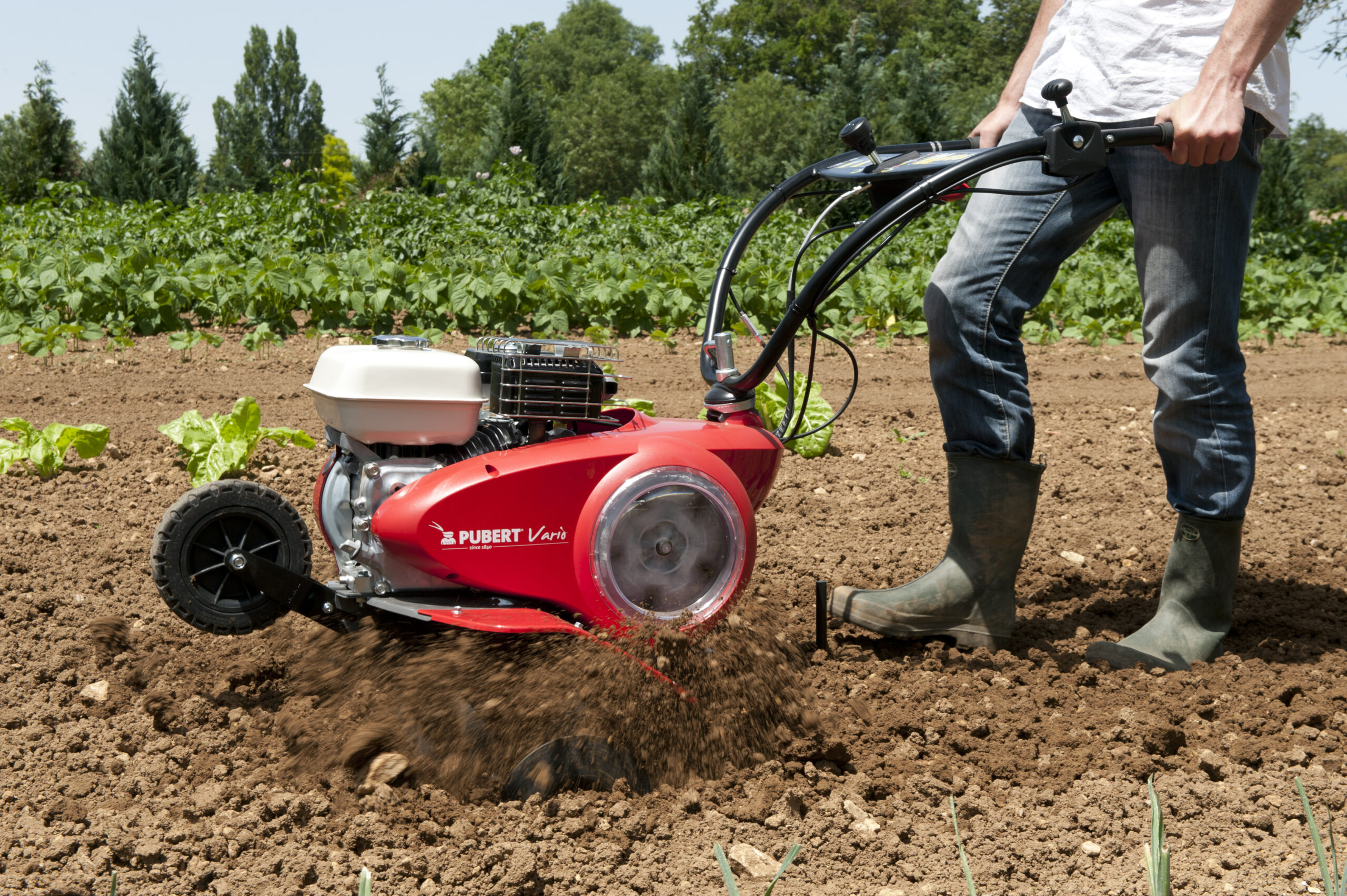 pubert-vario-40h-c3-motoculteur-vitesse-variable image 3