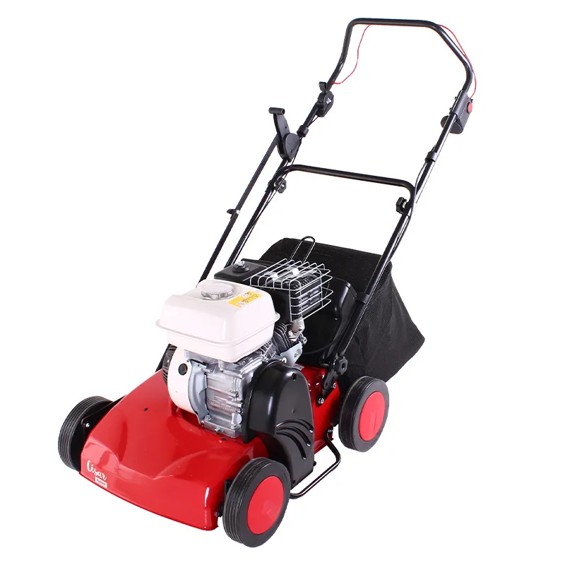 pubert-cesar-40h-scarificateur-thermique image 1
