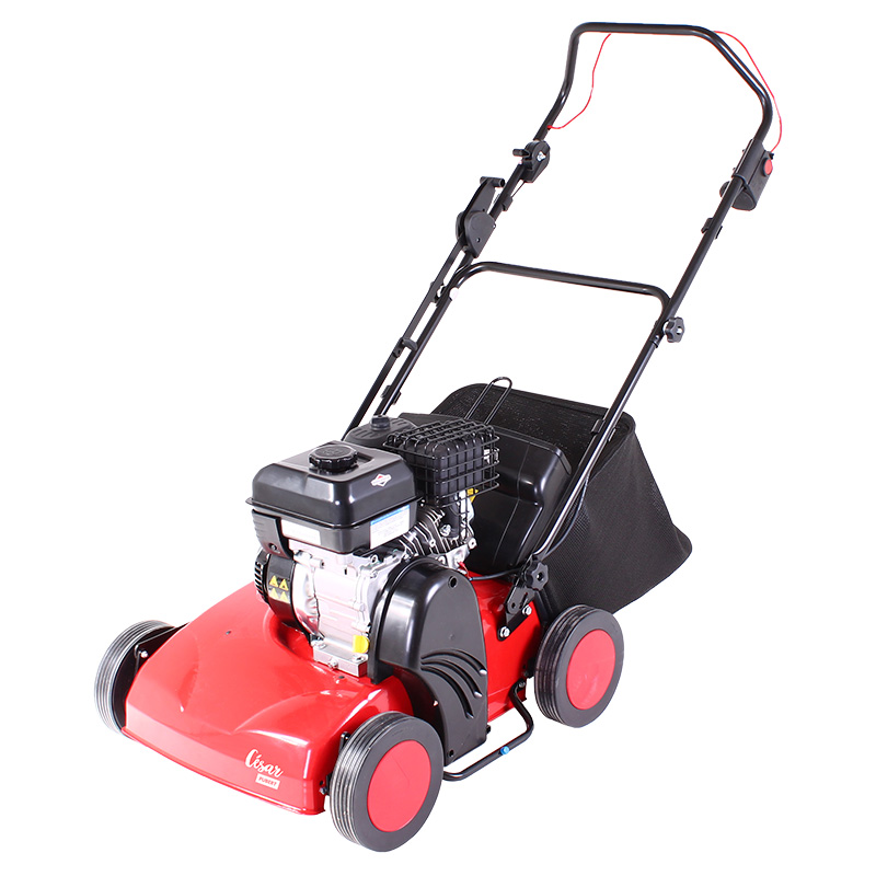 pubert-cesar-40b-scarificateur-acier-40-cm-gazon image 1
