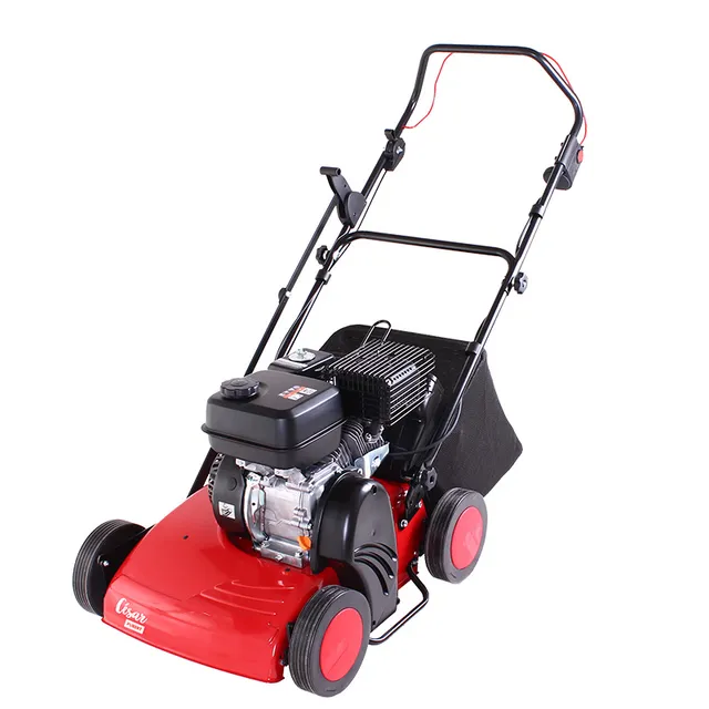 scarificateur-pubert-cesar-45p-40-cm image 1