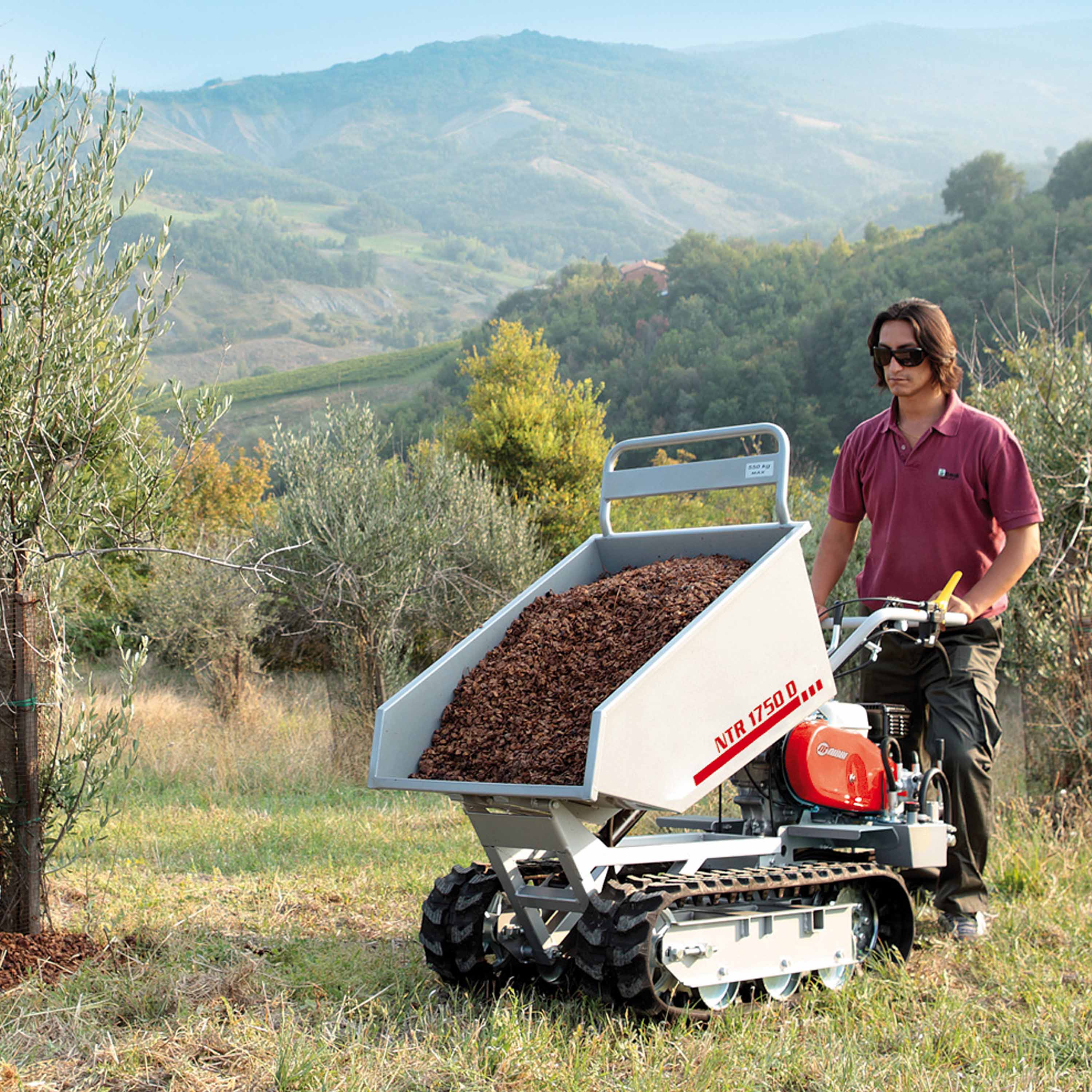 oleo-mac-ntr-1750-d-benne-dumper-transporteur-chenilles-550-kg image 4